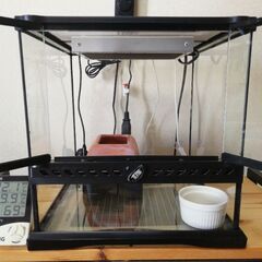 レオパの飼育フルセットの画像