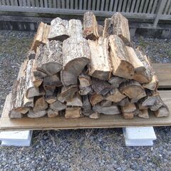 乾燥薪販売！！　　【小型の薪ストーブ用】の画像