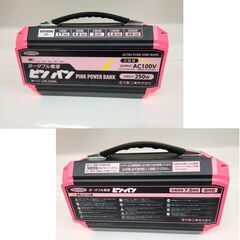 日動工業 ピンバン ポータブル電源 LPE-R250L 定格出力250W 屋内型 充電式 ピンクパワーバンク NICHIDO 札幌 北20条店の画像