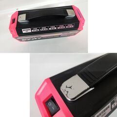 日動工業 ピンバン ポータブル電源 LPE-R250L 定格出力250W 屋内型 充電式 ピンクパワーバンク NICHIDO 札幌 北20条店の画像