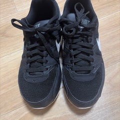 NIKE AIRMAXの画像
