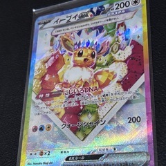 イーブイSARセットの画像