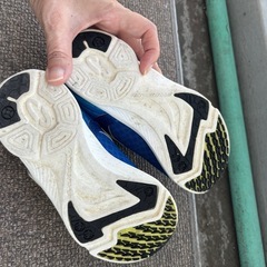 瞬足　スニーカー17EE㎝の画像