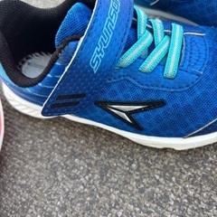 瞬足　スニーカー17EE㎝の画像