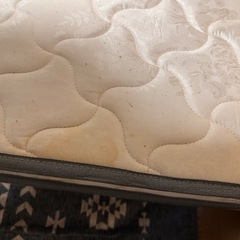 シングルベット
の画像