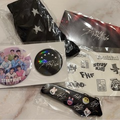 straykids　ペンライトver.2の画像