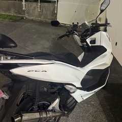 pcx jf81の画像