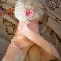 だっこして ネルン ねこの画像