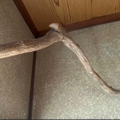 小鳥の止まり木　バードアスレチック　流木　壁掛けとまり木　バードトイ　バードジムの画像