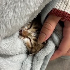 女の子の2ヶ月の子です。人見知りちょっとありますがとっても元気です。の画像