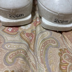 スキー靴
20センチの画像