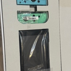 Nintendo Switch あつまれどうぶつの森セット　中の画像