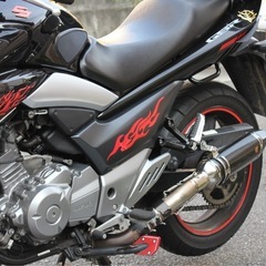 suzuki GSR250春のツーリングシーズンに！の画像