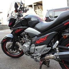 suzuki GSR250春のツーリングシーズンに！の画像