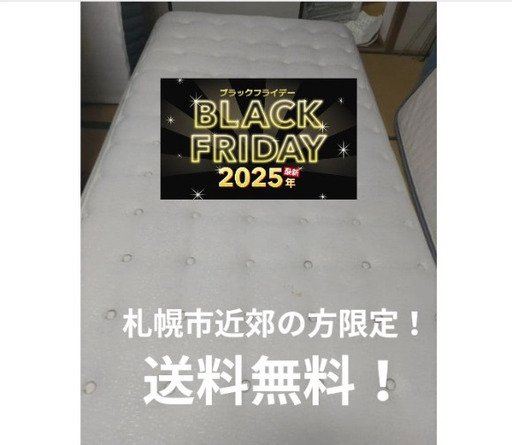 BLACK FRIDAY セール！札幌市近郊の方限定！送料無料！ニトリ Nスリープ プレミアム シングル