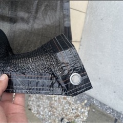 日除   目隠し   すだれの画像