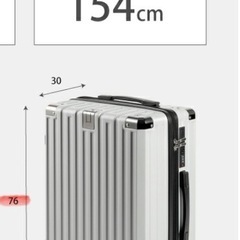 大至急最新新品箱入りスーツケースLの画像