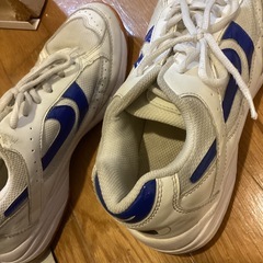 体育館シューズの画像