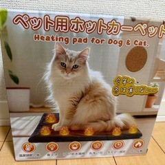 ペット用ホットカーペット ペット用ヒーター 暖房器具 噛み付き防止 犬猫用の画像