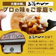 カレーレトルト３人前の画像