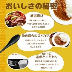 カレーレトルト３人前の画像