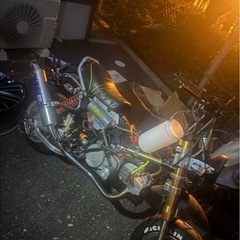 モンキー  今月まで！‼️の画像