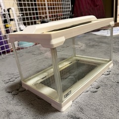 爬虫類 ケース  の画像