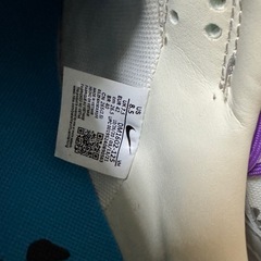 Off-White × Nike Dunk Low "Sail/Neutral Gray"の画像