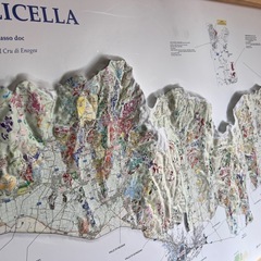 イタリア ワイン地図 ポスター（VALPOLICELLA 立体マップ）額縁付きの画像