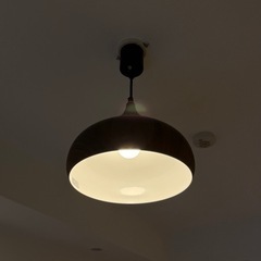 ニトリ ペンダントライト ラルムM (2個)の画像