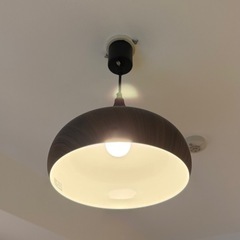 ニトリ ペンダントライト ラルムM (2個)の画像