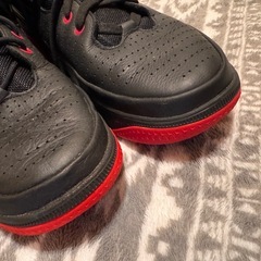 AIR JORDAN »»» バスケットシューズ 28cm 美品 の画像