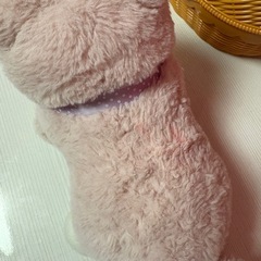 おしゃべり猫ちゃんの画像