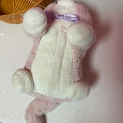 おしゃべり猫ちゃんの画像