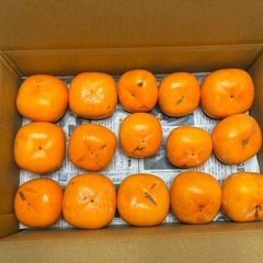 平種無し柿3キロの画像