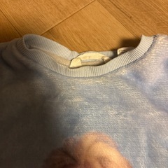 アナ雪服ですの画像