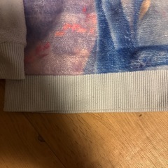 アナ雪服ですの画像