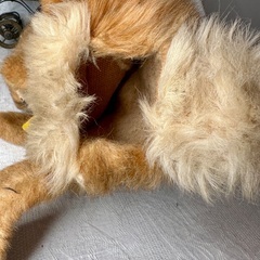 シュタイフ バニー ラビット ハンドパペットの画像