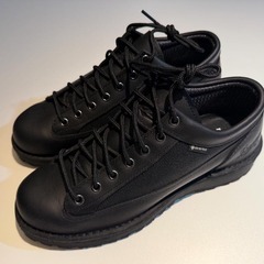 【未使用】 DANNER FIELD LOW（ダナー）25.5cmの画像