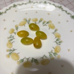 処理前の銀杏大量‼️ の画像