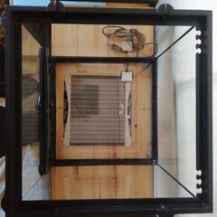 レオパの飼育フルセットの画像