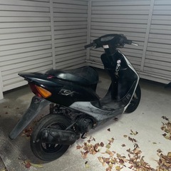 HONDA ライブディオZX 中期　規制前
の画像