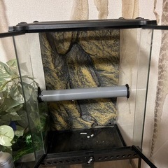 エキゾテラ3045の画像