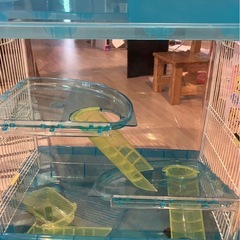 ハムスター　ケージ　ペット　　の画像