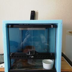 レオパの飼育フルセットの画像