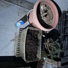 植木鉢、プランター等いろいろの画像