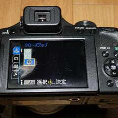 Panasonic LUMIX DMC-FZ150 デジタルカメラの画像