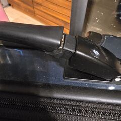 Protecaスタリアの機内持込サイズ（38L）の画像