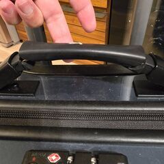 Protecaスタリアの機内持込サイズ（38L）の画像