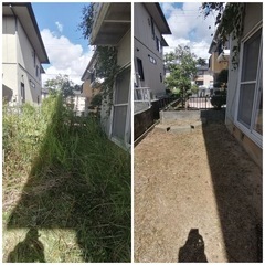 【愛知県全域対応】草刈り、庭木の剪定、芝刈り、芝の張り替え 1件...